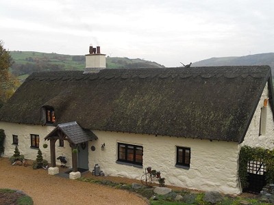 Coed y Foel